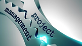project management.png
